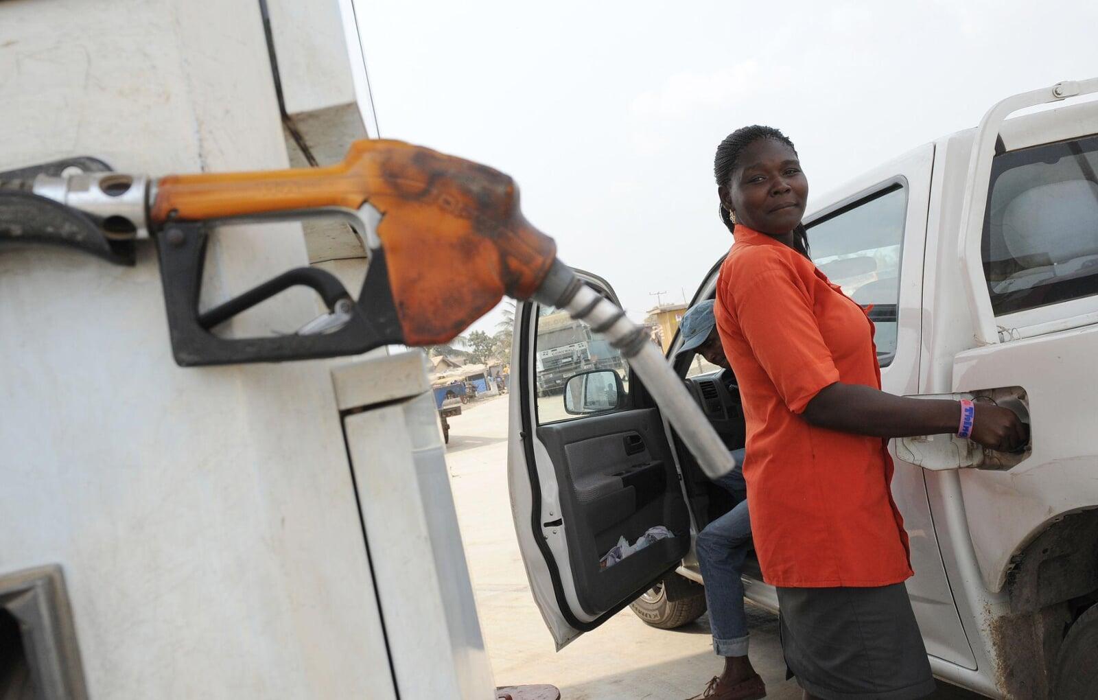 Urban Nest Banner Image